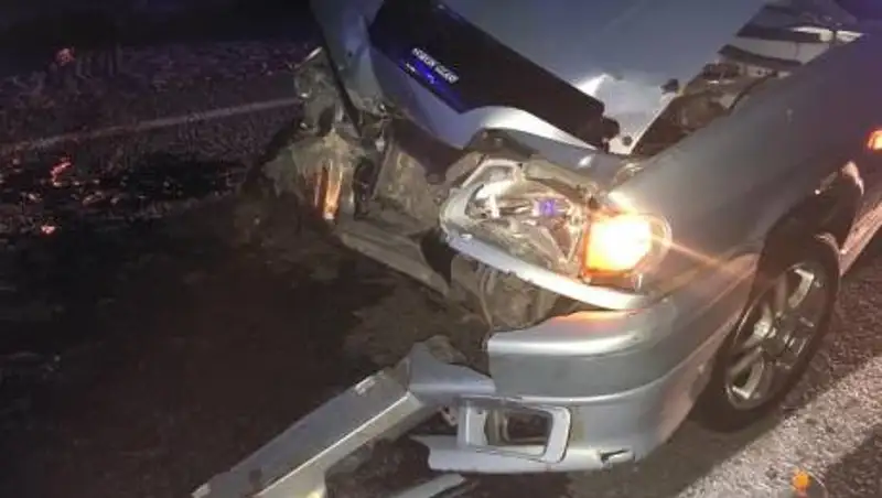 В СКО автомобиль врезался в отару – 14 овец погибли