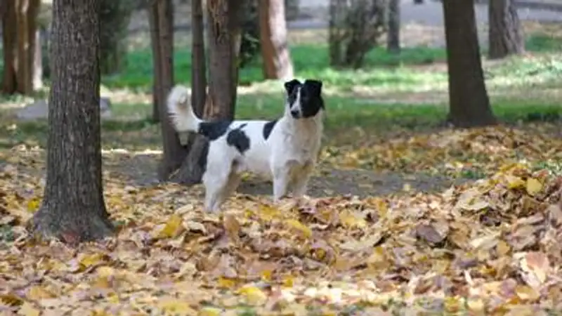 , фото - Новости Zakon.kz от 05.07.2023 17:52