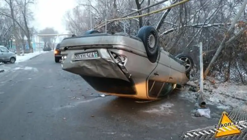 Водитель не задавил собаку, потерял управление и сбил девушку насмерть в Алматы