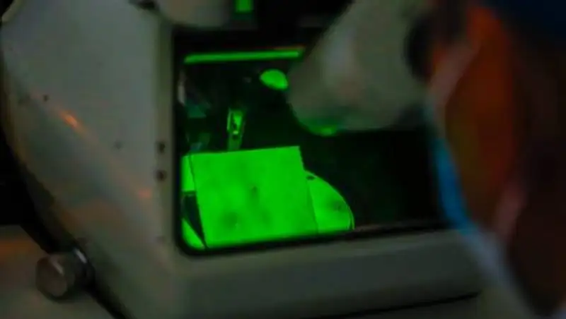 Разработчик казахстанской вакцины от COVID-19 ответил на самые актуальные вопросы