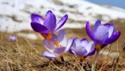 Zakon.kz, фото - Новости Zakon.kz от 01.03.2016 21:20