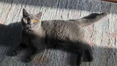 Zakon.kz, фото - Новости Zakon.kz от 26.10.2021 17:53