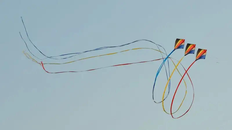 В Индии шесть человек погибли на фестивале воздушных змеев