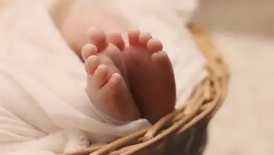 Pixabay, фото - Новости Zakon.kz от 22.07.2019 07:41