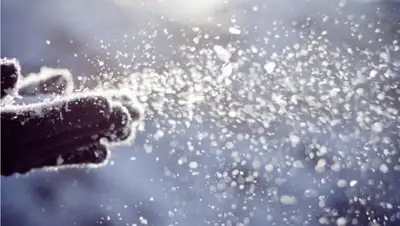 24.kz, фото - Новости Zakon.kz от 14.01.2020 09:42