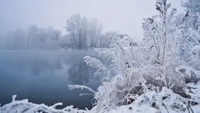 Zakon.kz, фото - Новости Zakon.kz от 19.12.2016 12:00