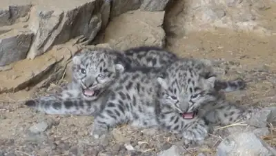 Zakon.kz, фото - Новости Zakon.kz от 11.09.2017 13:45