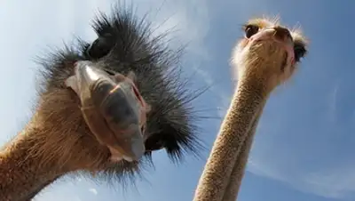 Zakon.kz, фото - Новости Zakon.kz от 16.07.2015 03:48