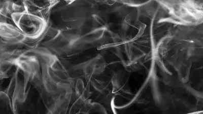 pixabay, фото - Новости Zakon.kz от 09.11.2021 03:26