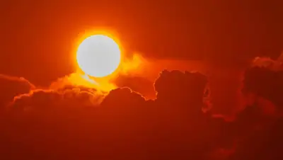 rbk.ru, фото - Новости Zakon.kz от 01.06.2020 18:21