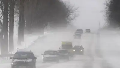 24kz, фото - Новости Zakon.kz от 14.02.2021 20:28