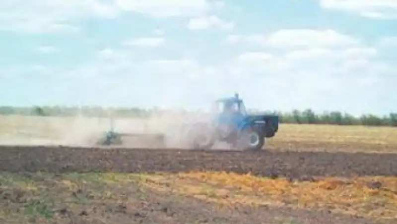 Жители Акмолинской области не могут поделить землю с чиновниками