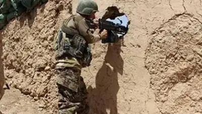 Zakon.kz, фото - Новости Zakon.kz от 26.07.2017 20:45