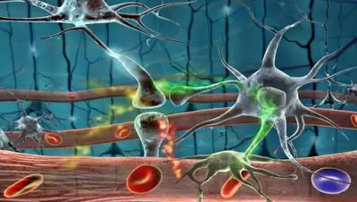 Zakon.kz, фото - Новости Zakon.kz от 15.02.2016 23:49