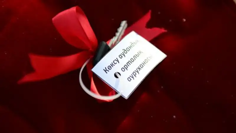 51 карету скорой помощи получили медики Алматинской области