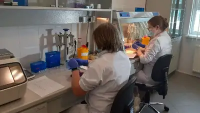 массовое отравление, Рудный, студенты, стафилококк, фото - Новости Zakon.kz от 27.04.2022 10:39