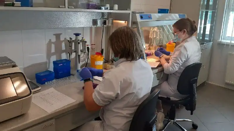 Массовое отравление студентов в Рудном: у трех сотрудников выявлен стафилококк