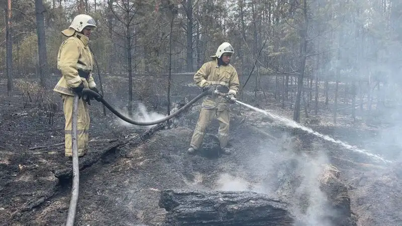 пожарные, фото - Новости Zakon.kz от 11.06.2023 10:14