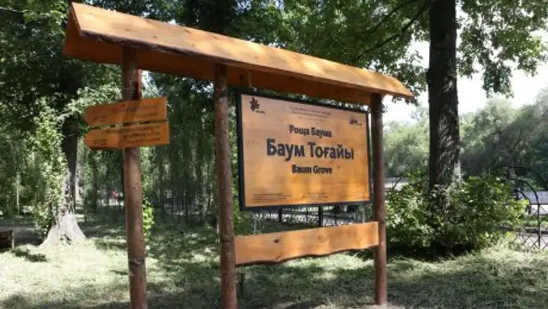 Земельные участки в Роще Баума вернули городу