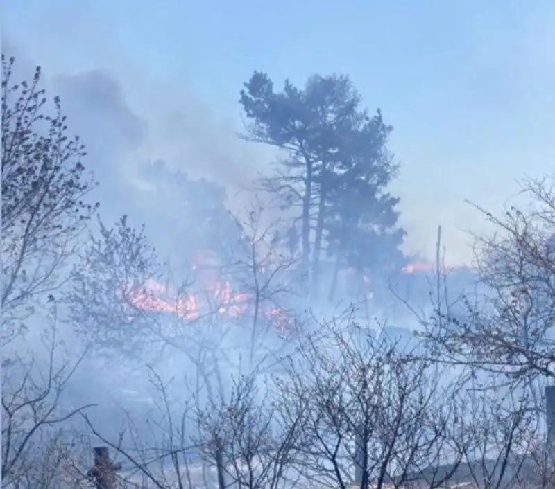 Пожар в Рудном: огонь перекинулся на 20 нежилых дачных домов, фото - Новости Zakon.kz от 07.05.2023 12:22