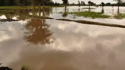 Водитель утонул вместе с трактором в Акмолинской области, фото - Новости Zakon.kz от 08.04.2023 08:21