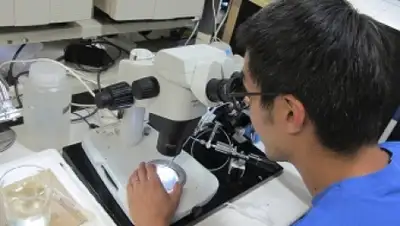 Zakon.kz, фото - Новости Zakon.kz от 03.05.2015 20:10