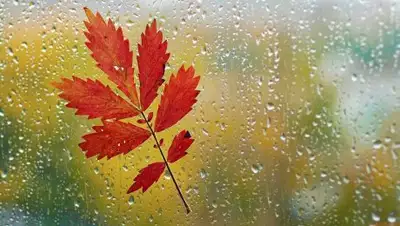 Zakon.kz, фото - Новости Zakon.kz от 18.10.2017 06:00