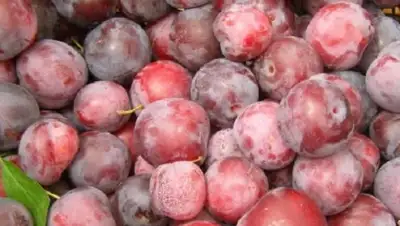 Zakon.kz, фото - Новости Zakon.kz от 09.06.2015 17:17