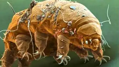 Zakon.kz, фото - Новости Zakon.kz от 21.09.2016 23:06