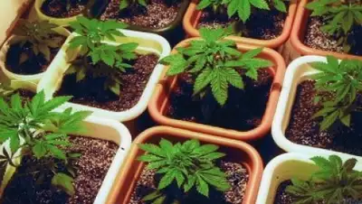 Zakon.kz, фото - Новости Zakon.kz от 12.06.2015 13:55