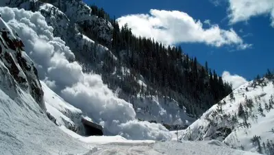 Zakon.kz, фото - Новости Zakon.kz от 20.04.2017 16:50