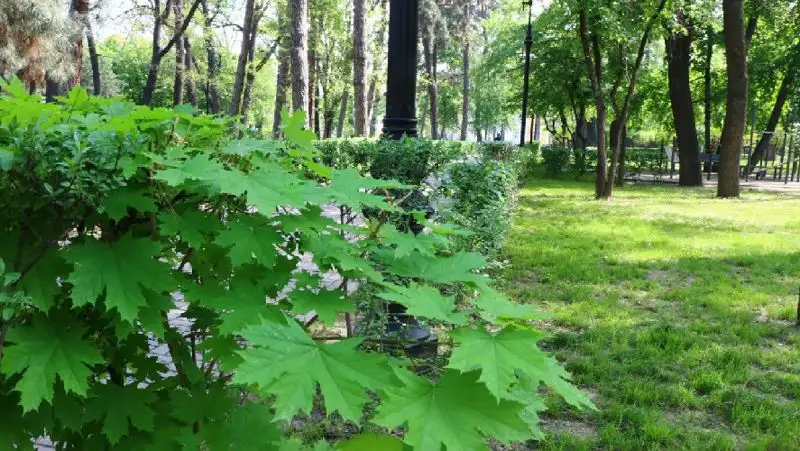 В последние дни апреля в Казахстане похолодает