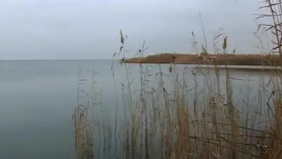 pavlodartoday.com, фото - Новости Zakon.kz от 24.02.2018 12:57