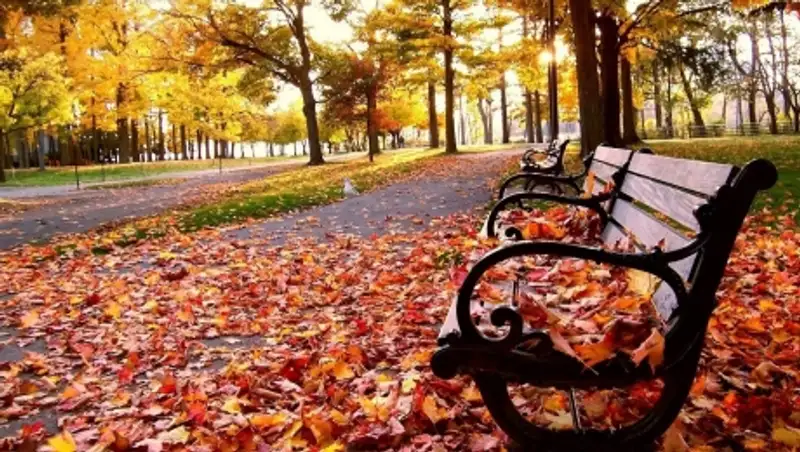 7 октября на большей части Казахстана сохраняется погода без осадков