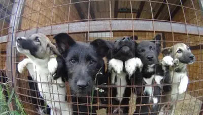 Zakon.kz, фото - Новости Zakon.kz от 26.09.2017 16:00