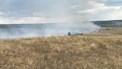 ДЧС СКО., фото - Новости Zakon.kz от 11.07.2021 23:03