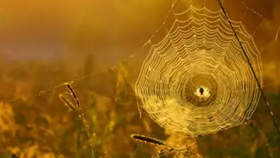 Zakon.kz, фото - Новости Zakon.kz от 26.08.2017 06:50