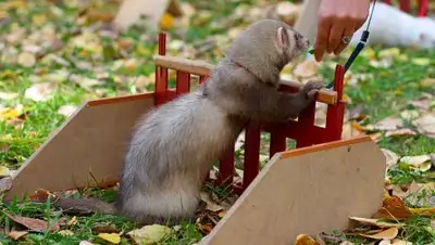 Zakon.kz, фото - Новости Zakon.kz от 24.09.2017 21:55