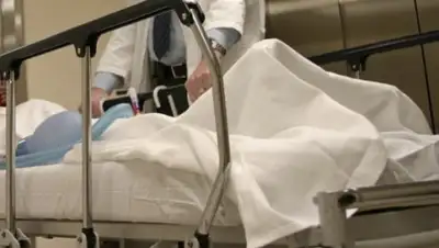 Zakon.kz, фото - Новости Zakon.kz от 18.08.2017 23:54