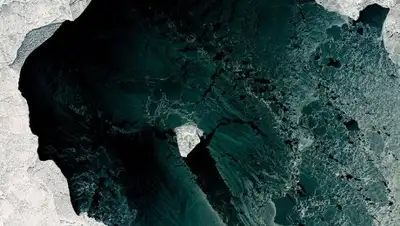 Zakon.kz, фото - Новости Zakon.kz от 03.03.2017 18:28