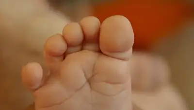 Zakon.kz, фото - Новости Zakon.kz от 08.06.2017 20:18