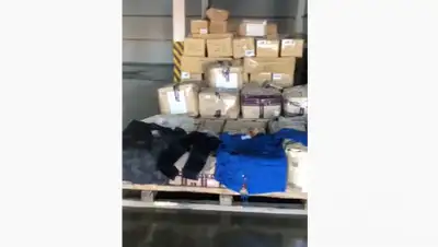 кадр из видео, фото - Новости Zakon.kz от 01.11.2019 10:44