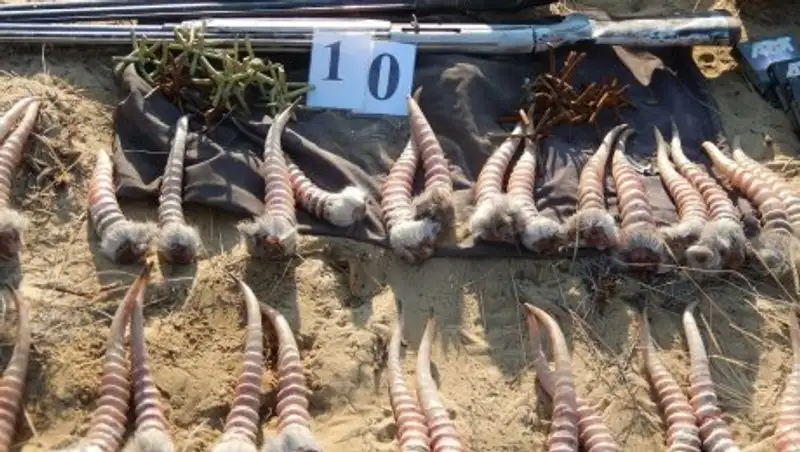 МВД намерено ужесточить уголовную ответственность за браконьерство