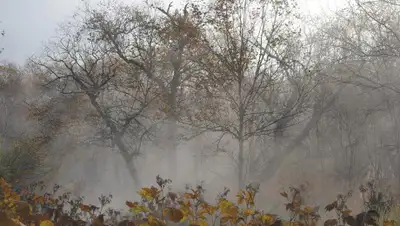 Pixabay, фото - Новости Zakon.kz от 12.10.2019 09:20