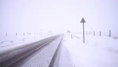 express-k.kz, фото - Новости Zakon.kz от 22.01.2020 17:08