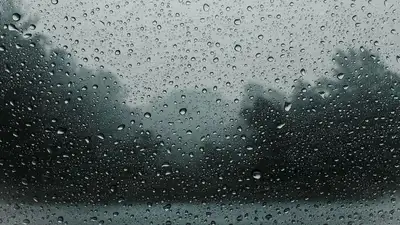 На юге Казахстана ожидаются сильные осадки в ближайшие три дня , фото - Новости Zakon.kz от 01.02.2023 14:21