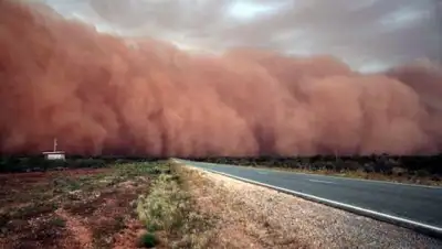 Открытые источники, фото - Новости Zakon.kz от 11.11.2018 00:45