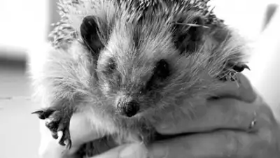 Zakon.kz, фото - Новости Zakon.kz от 30.06.2015 02:29