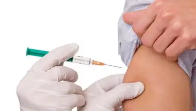 mirmam.pro, фото - Новости Zakon.kz от 15.01.2019 12:32