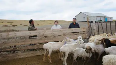 правила учета трудовых иммигрантов, фото - Новости Zakon.kz от 03.06.2022 15:55